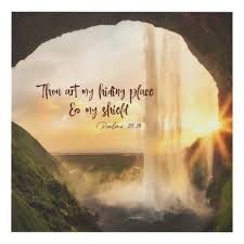 Thou Art My Hiding Place Shield Psalms Scripture Zazzle Com Bible Verse Gifts Scripture Hiding Places