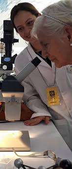 Boletín Informativo