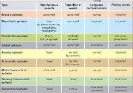 Clear Description Of Aphasia Types Aphasia Aphasia