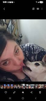 Hi everyone today makes a month I lost my sweet boy skip ... not one day I  have not cried I have been trying to keep myself busy . I had him