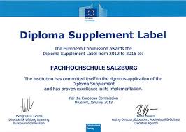 Het diplomasupplement bevat acht onderdelen die informatie verschaffen over: Diploma Supplement Im Studium Fh Salzburg
