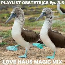 Find new and preloved love haus items at up to 70% off retail prices. Love Haus Magic Mix Playlist Obstetrics Ep 3 5 By Dylan Joe