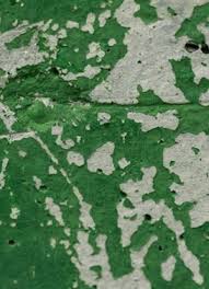 How To Remove Paint From Concrete Paint Remover Remove Paint From Concrete Cleaning Painted Walls
