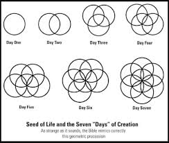 Flower Of Life Tattoo Sacred Geometry Sacred Geometry Symbols Flower Of Life Mean In 2020 Flower Of Life Tattoo Sacred Geometry Symbols Flower Of Life Meaning