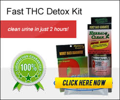 On this day, you will be able to pass a drug test. How To Pass A Urine Drug Test For Weed In 2021 Clean And Healthy Me