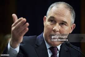 286 Scott Kirkpatrick Stock Photos, High-Res Pictures, and Images