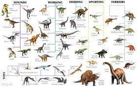 dog breeds chart