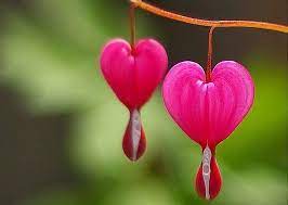 Congratulations Dear Ramonita It Will Be A Pleasure Finding Special Pins For You Enjoy Your Week Xoxo Marty Rosas