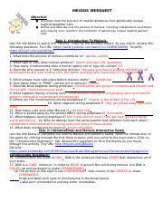 One has got to study just about anything and. Meiosis Webquest Meiosis Webquest Objective U25cf Discover How The Process Of Meiosis Produces Four Genetically Unique Haploid Daughter Cells U25cf Course Hero