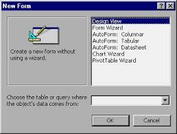 ms access 2003 lesson 35 creating a form using the form
