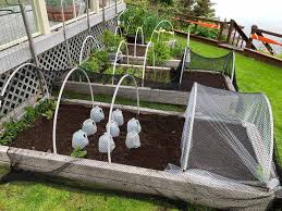 Perennials appear to die when the temperatures drops, but they're actually hibernating. What S A Perennial Spring Garden Q As Organic Gardening Lagniappe
