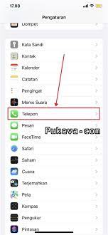 Cara Menonaktifkan Penerusan Panggilan di iPhone | PUKEVA