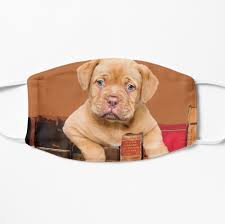 Bordeaux Bulldog Mit Buchern Maske Von Move Art In 2020 Alte Bucher Bordeaux Masken