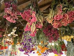 Hold bunch flowers upside down / i tried hanging a bunch of flowers upside down but it didn't work. Dried Flowers Are Back