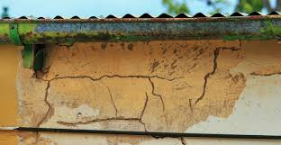 Giulianti, a lawyer in boca raton, fl. 3 Signs You Are Inviting Termites In Your House