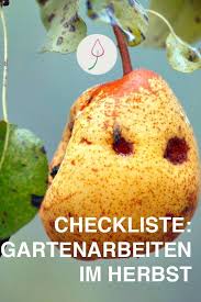 Obst kann an pflanzen an sträuchern, oder an bäumen wachsen. 10 Gartenarbeiten Die Im Herbst Zu Tun Sind Gartenarbeit Garten Blumenzwiebeln Pflanzen