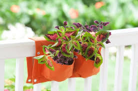 Check spelling or type a new query. Cute And Functional Deck Rail Planter Ideas