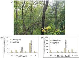 Image result for Ozoroa nigricans
