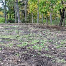 This is a general guide to preparing dirt for gardening. Improving The Soil In The Garden The Martha Stewart Blog