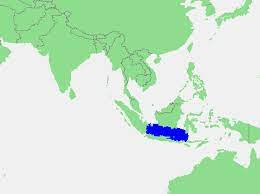 Detailed political map of southeast asia with capitals and major. Java Sea Wikipedia