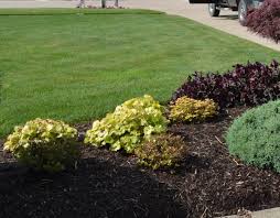Check spelling or type a new query. 23 Landscaping Ideas With Photos Mike S Backyard Nursery