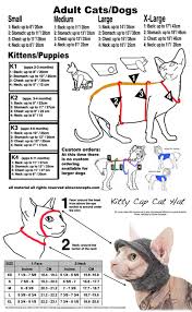Size Chart Video Simply Sphynx Cats