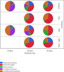 We did not find results for: Effects Of Feeding Original Xpc To Broilers With A Live Coccidiosis Vaccine Under Industrial Conditions Part 2 Cecal Microbiota Analysis Sciencedirect