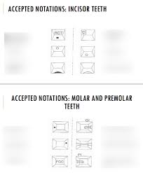 dental notation and charting diagram quizlet