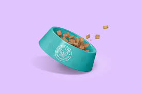 Download 9 Best Pet Bowl Mockup Psd Download Mockupcloud