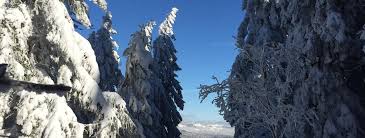 Check spelling or type a new query. Ski Touring Routes In Vaud Travel Guide Outdooractive Com