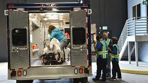 Emergency Medical Technician – Paramedic, Associate Degree | Emergency  Medical Services At Pcc