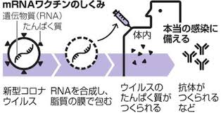 道模型 車・バイク プラモデル ミニ四駆 プラモデル 工具・塗料・材料 工具 塗料 材料 キャラクターグッズ コレクショントイ,食玩 ファッション メンズファッ. ãªãœãƒžã‚¤ãƒŠã‚¹75åº¦å¿…è¦ æŒ¯å‹•ng ã‚³ãƒ­ãƒŠãƒ¯ã‚¯ãƒãƒ³ æ–°åž‹ã‚³ãƒ­ãƒŠã‚¦ã‚¤ãƒ«ã‚¹ æœæ—¥æ–°èžãƒ‡ã‚¸ã‚¿ãƒ«
