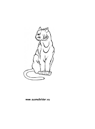 Ausmalbild Luchs Zum Ausdrucken