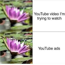 Japanese Flower Vs American Flower Memes Funny Relatable Memes Haha Funny Funny Memes