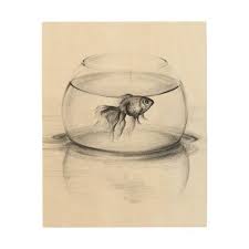 Goldfish In Bowl And Water Pencil Drawing Wood Wall Art Zazzle Com In 2021 Graphite Drawings Beauty Drawings Drawings
