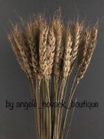 How to dry your wedding bouquet with silica. Dyeing Dried Flowers Cattail Leaf Palm Fan Bouquet Wedding Home Decor Craft Diy Ebay