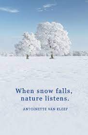 Winter Quotes To Help You See The Beauty Of Every Snowfall Snow Quotes Winter Quotes Winter Instagram Captions