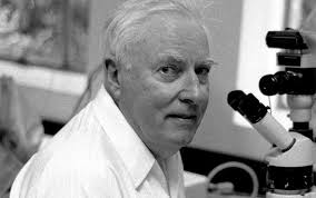 In Memoriam: Alfred “Al” Fischer, 96