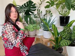 Arredare con le piante da interno. Piante Da Appartamento Come Arredare Con Le Varieta Piu Alla Moda