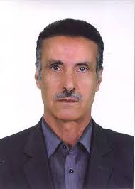 La Kabylie de la Revolution(1954-1962): Amar Ait Cheikh et ses freres de  combat (French Edition)