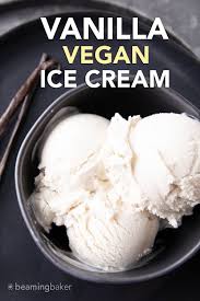 Homemade Vegan Vanilla Ice Cream Recipe Vegan Vanilla Ice Cream Recipe Dairy Free Ice Cream Recipes Vanilla Ice Cream Recipe