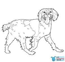 Heavy duty polyester house size flag that measures approximately 28 x 40 inches. Pin On Dog Coloring Pages