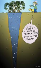 Image result for Haumaniastrum katangense