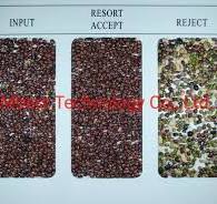 Soybean Green Mung Bean Color Sorter Bean Color Sorting ...