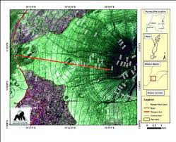 Image result for Crassocephalum ducis-aprutii