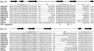 G o is therefore negative for any reaction that is favored by both the enthalpy and entropy terms. Recognition Of The Intrinsically Flexible Addiction Antidote Maze By A Dromedary Single Domain Antibody Fragment Journal Of Biological Chemistry