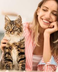 Amazon.com: INABA Churu Cat Treats, Grain-Free, Lickable, Squeezable Creamy  Purée Cat Treat/Topper with Vitamin E & Taurine, 0.5 Ounces Each Tube, 24  ...