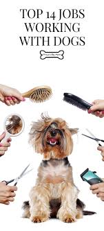 Top 14 Jobs Working With Dogs Proud Dog Mom Jobs Working With Dogs Dog Grooming Jobs With Animals