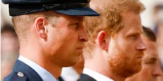 Prince Harry's Dark Joke Broke the Ice With Prince William at Queen  Elizabeth's Funeral
