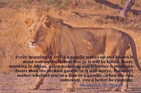 Christopher mcdougall > quotes > quotable quote every morning in africa, a gazelle wakes up, it knows it must outrun the fastest lion or it will be killed. Christopher Mcdougall Every Morning In Africa A Gazelle Wakes Up And Knows It Must Outrun The Fastest Lion Or It Will How To Run Faster Gazelle Sport Quotes